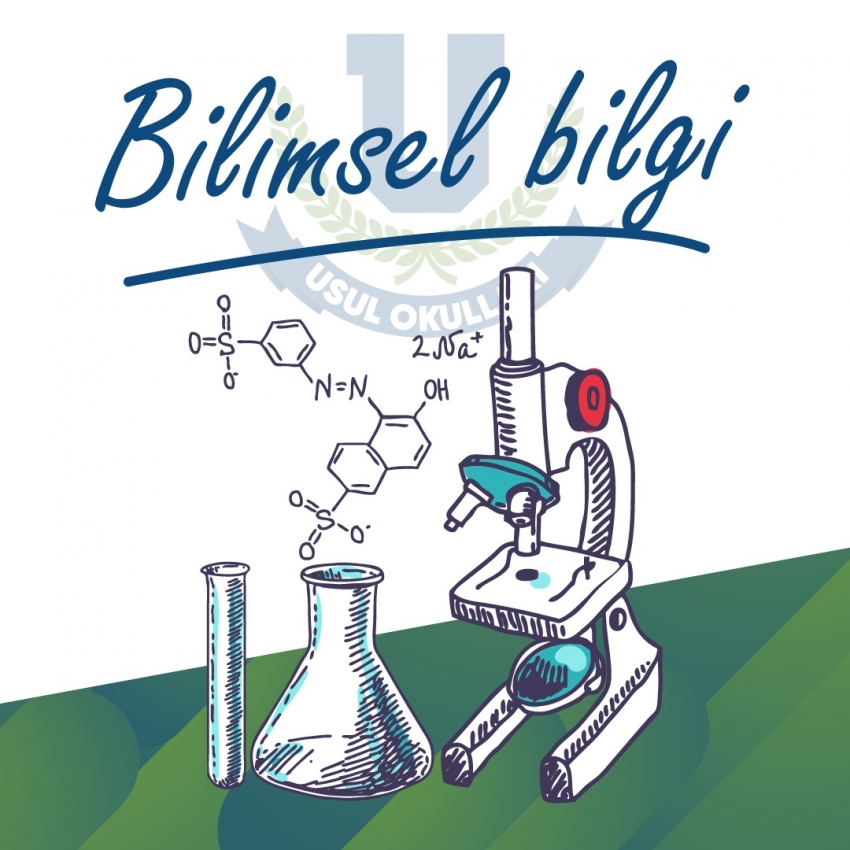 akşam lisesi kayıt şartları 2019 bilgilerine dayanarak sizler de lise diploması alıp önünüzdeki engelleri kaldırın. 